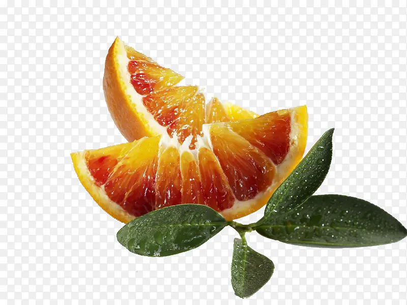 �п�Ѫ��ˮ����Ҷ-������