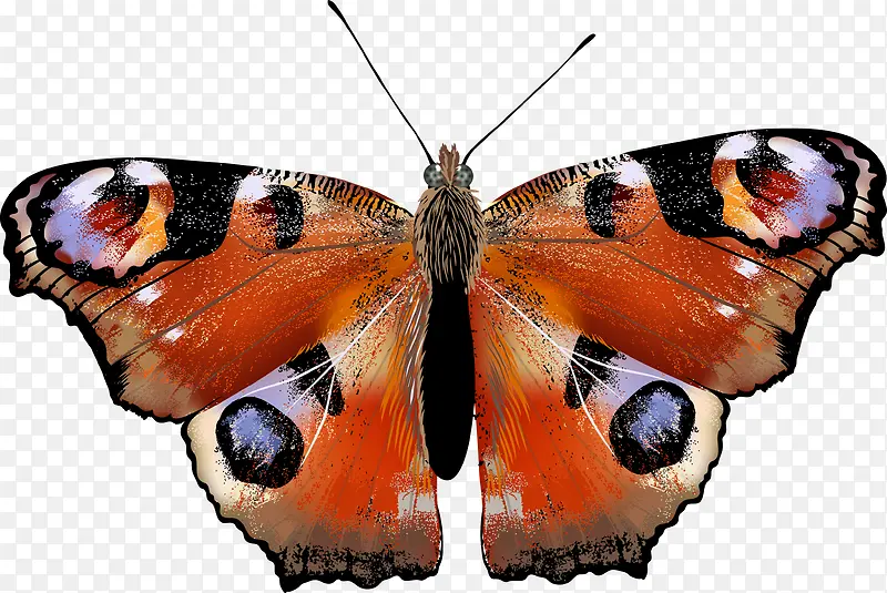 �ֻ����-������