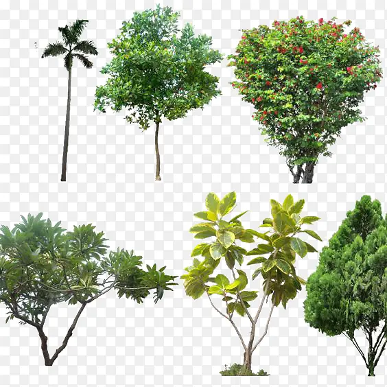 ��ľ�ز�-������