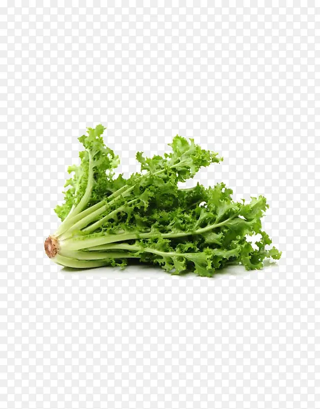 �߲˿�ղ�-������