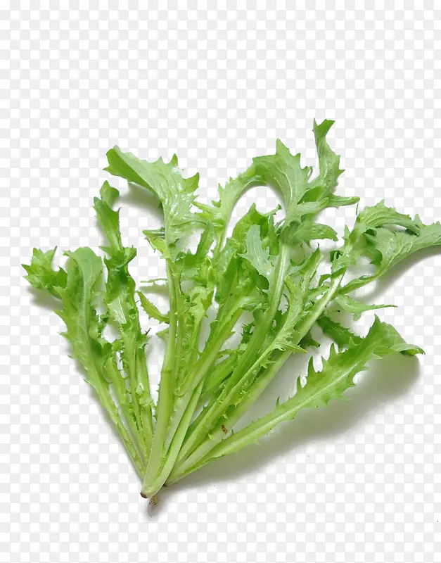 �߲˿�ղ�-������