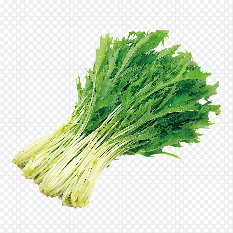 �߲˿��-������