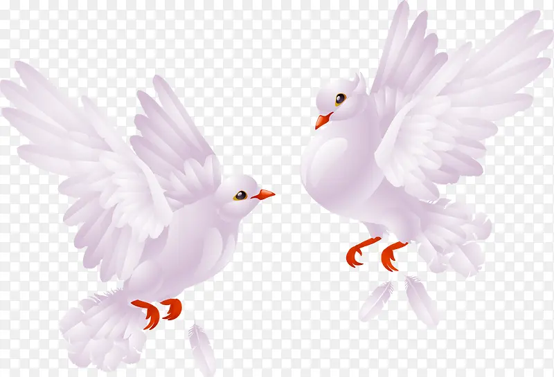 ��ͨ�׸�-������