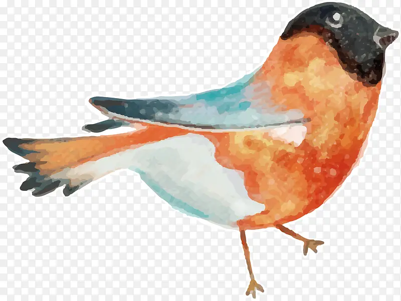 С���ֻ��й���-������