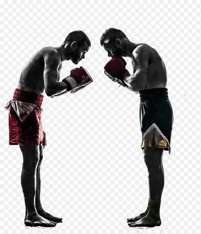 ����ѡ��-������