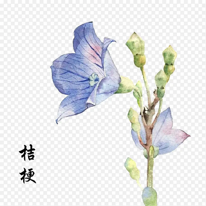 ˮ���ֻ�۹����ز�-������