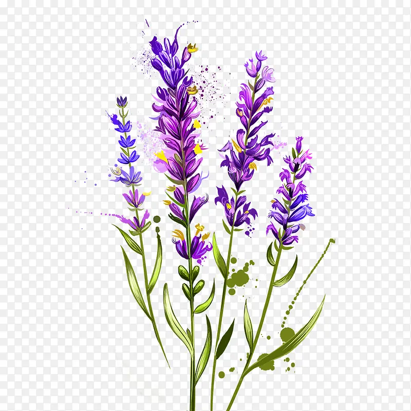 ��ɫ޹�²�-������