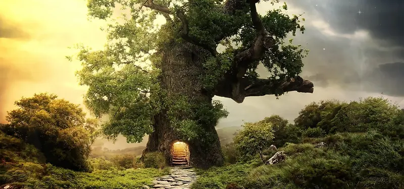 �λù���ɭ���羰-������