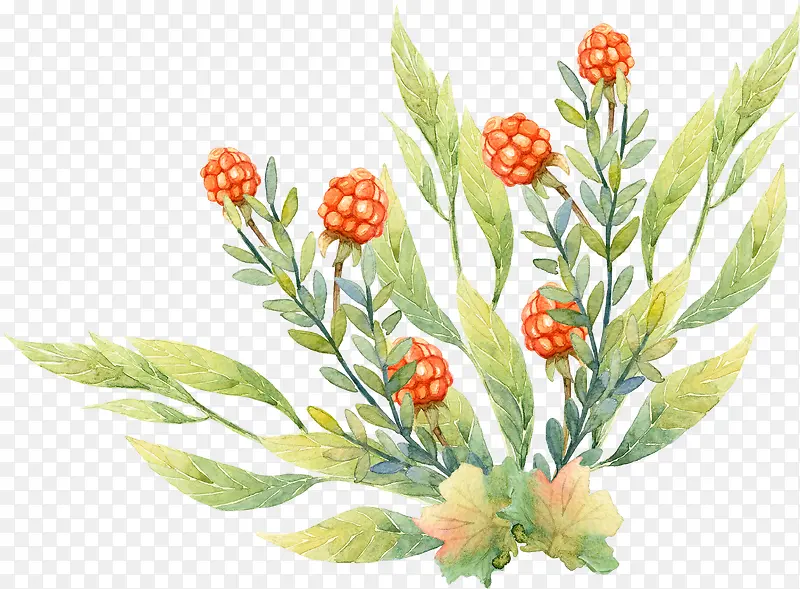 �ֻ滨�ݲ廭-������