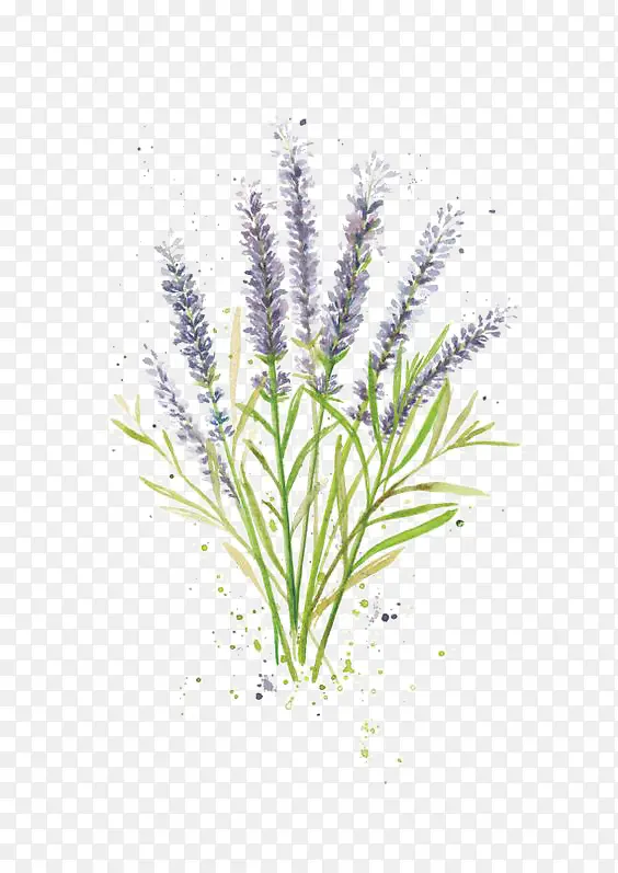 ˮ��޹�²�-������