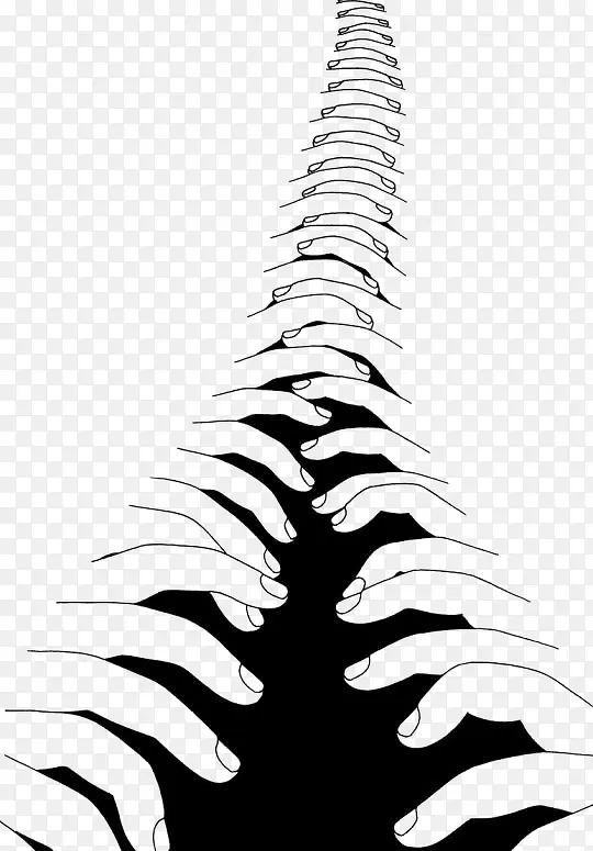 ��ָ����-������