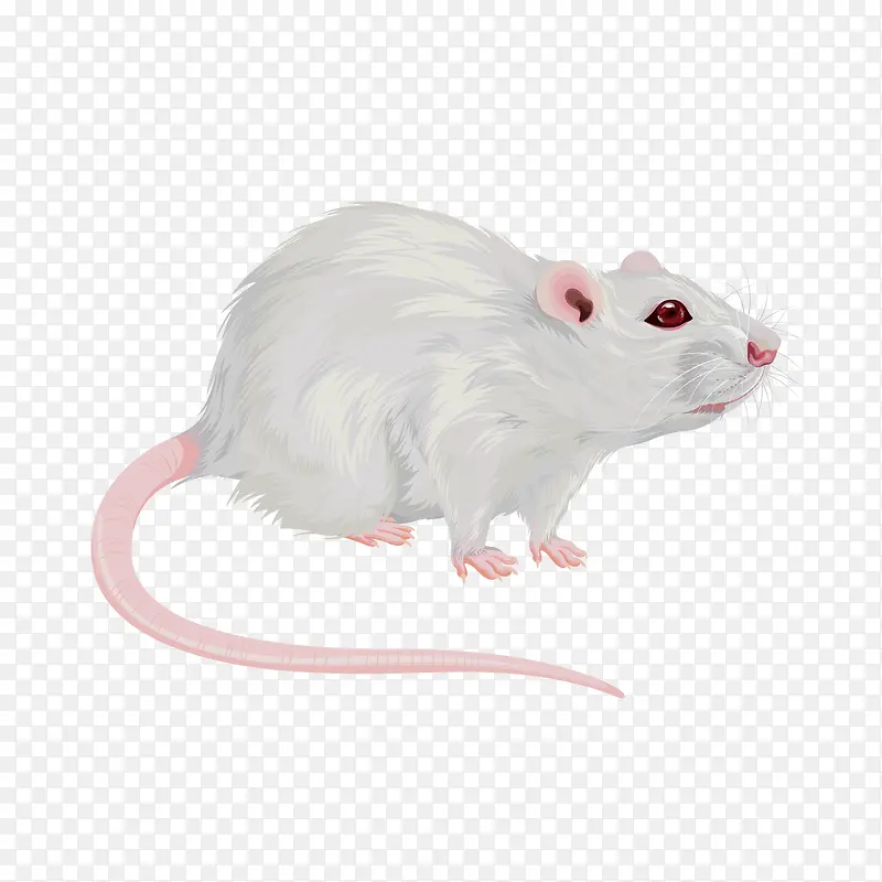 ��ɫ������-������