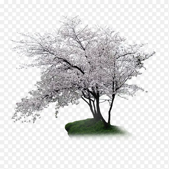 �����һ�-������