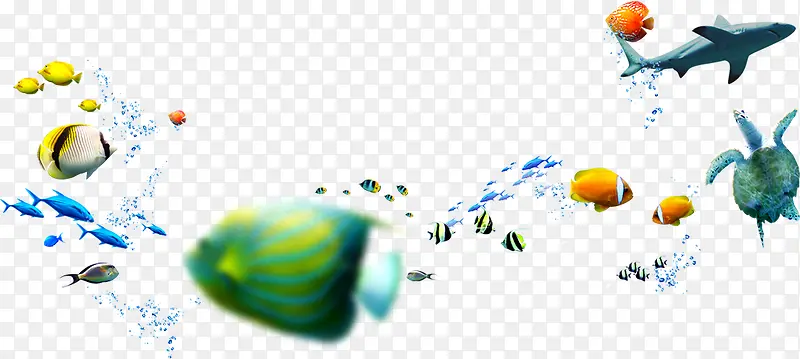 ���������ز������ز�-������