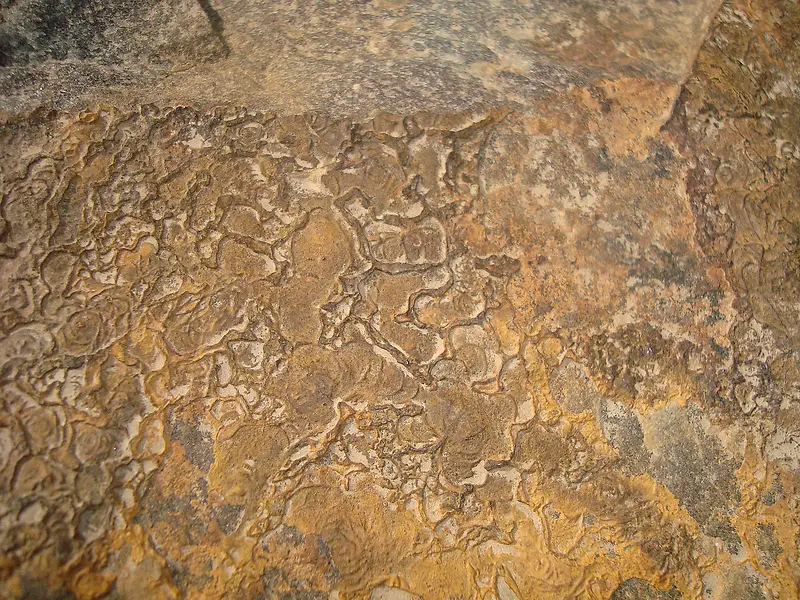 ��Ȼʯ�黨�Ʊ���-������