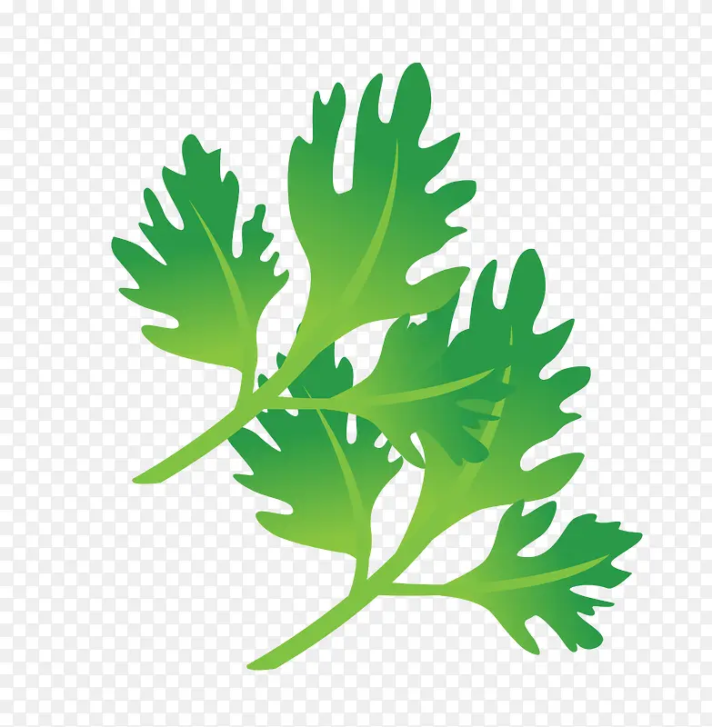 ʸ���۲�Ҷ��-������