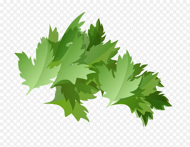 ʸ���۲�Ҷ��-������