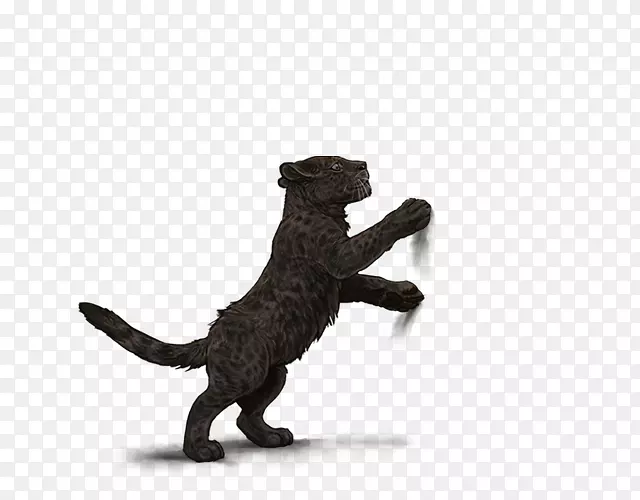 è��β����ڱ�-������