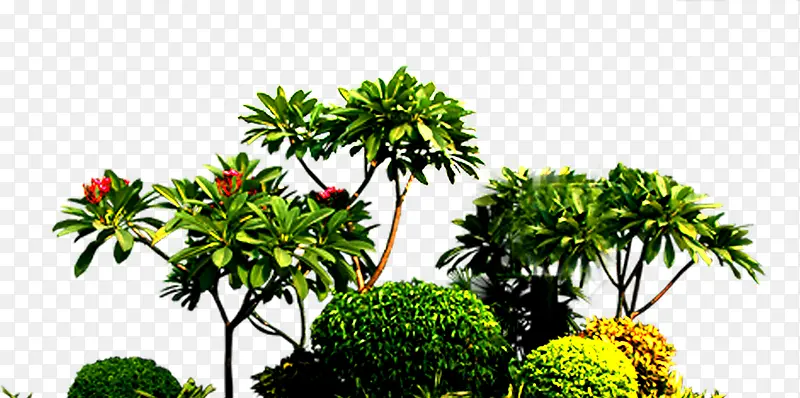 �羰����Ӱ��ɫ��ֲ��԰��-������