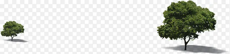 С��԰�ֻ�������-������