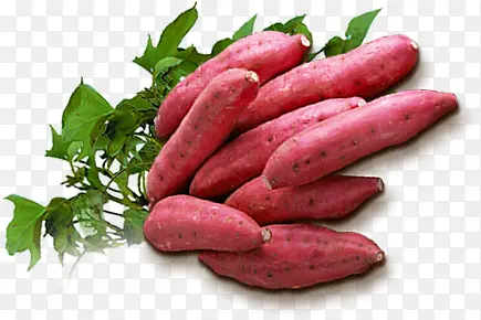 ����-������