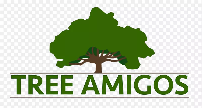 �в���������԰-����-������