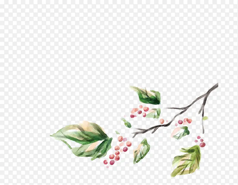 ���˺������ز� ���� ��֦-������