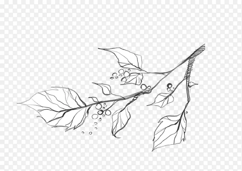 ���˺������ز� ���� ��֦-������