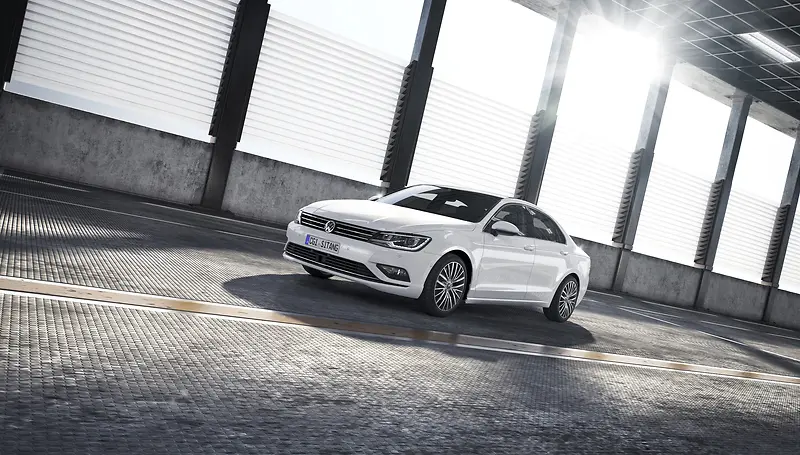 ��ɫ���������ſ�-������