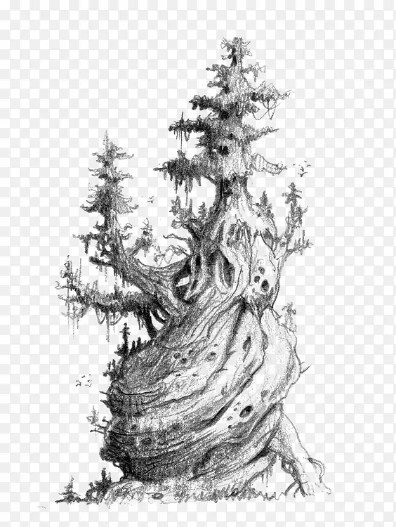 ����-������