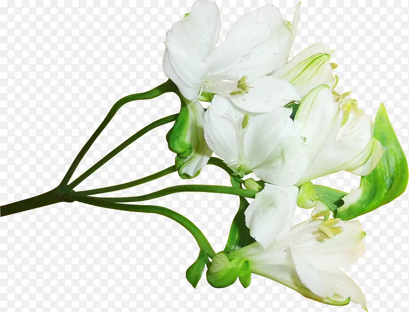 �ֻ濨ͨװ���ز�-������