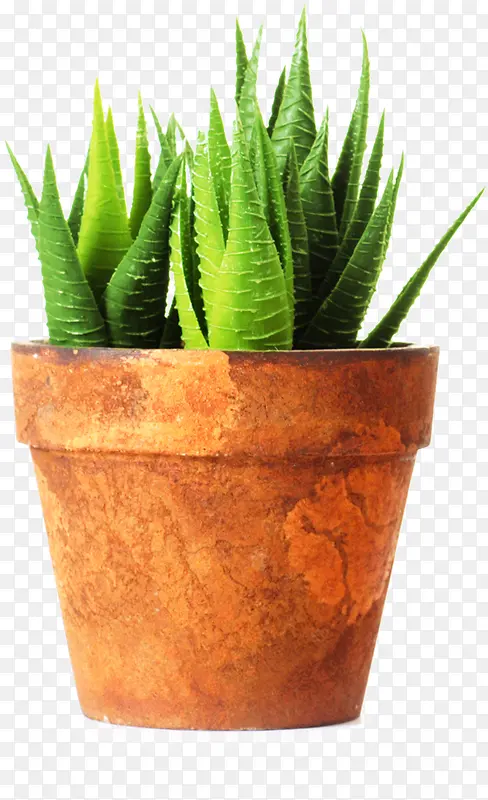 ������Ӱ«������-������