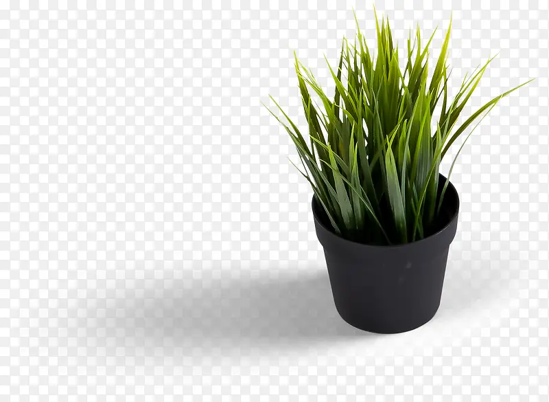 ������Ӱ��ɫ��ֲ������Ч��-������