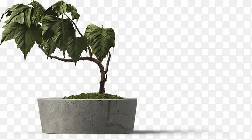 ������Ӱ��ɫ������Ч��-������