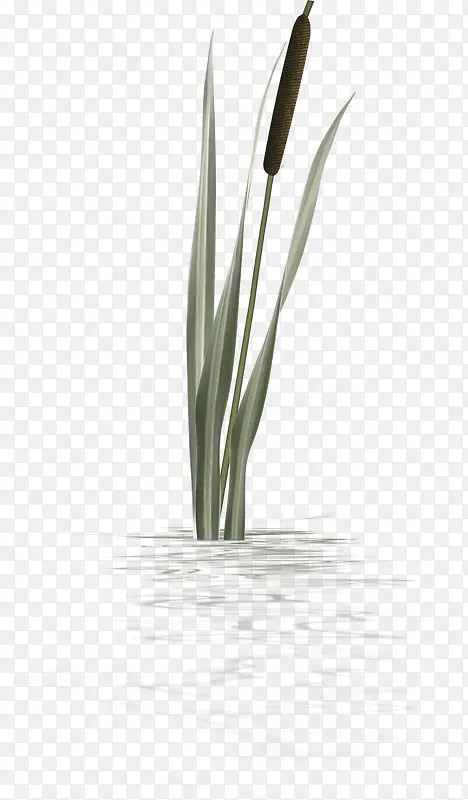 ˮ��С��ˮ��-������