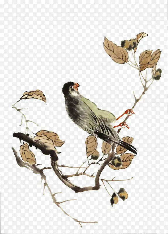 ����֦�ϵ�С��-������