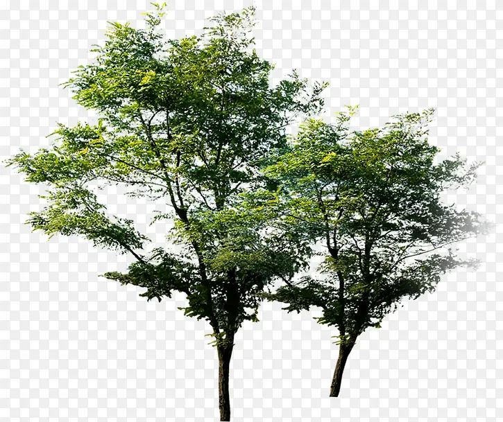 סլ����Ч������-������