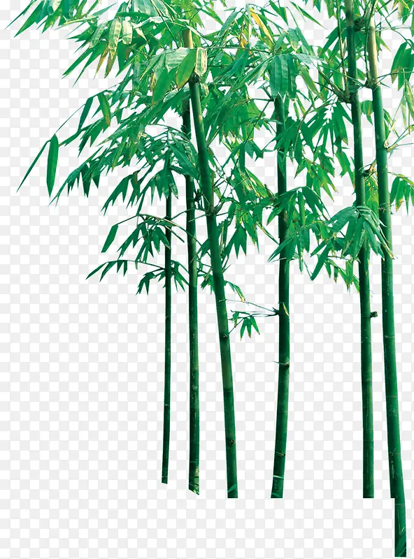 ����ϳ���Ӱ�����͵�����-������