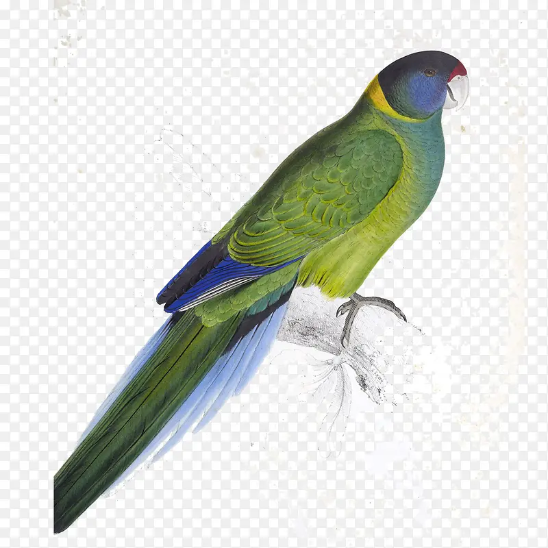 ��-������