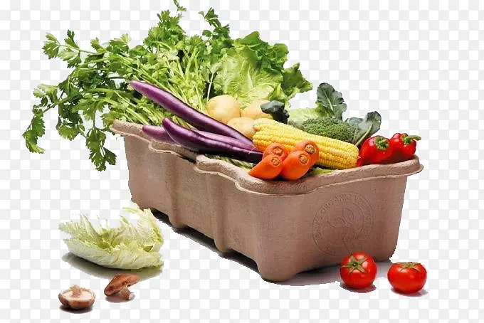 �߲���-������