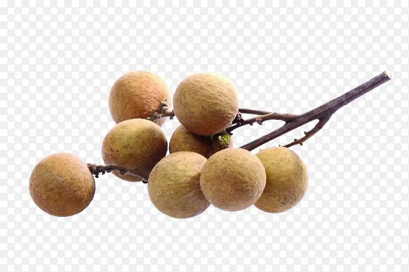 ��Բ-������