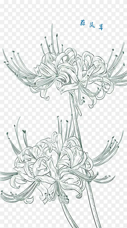 ��ͷ��-������