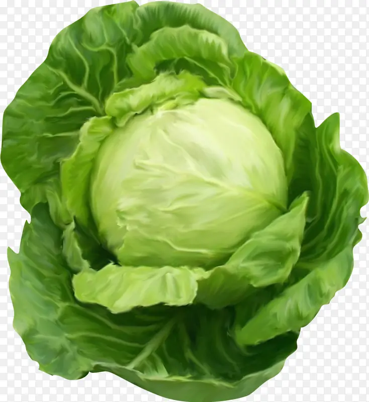 ���Ĳ�png�ز�-������