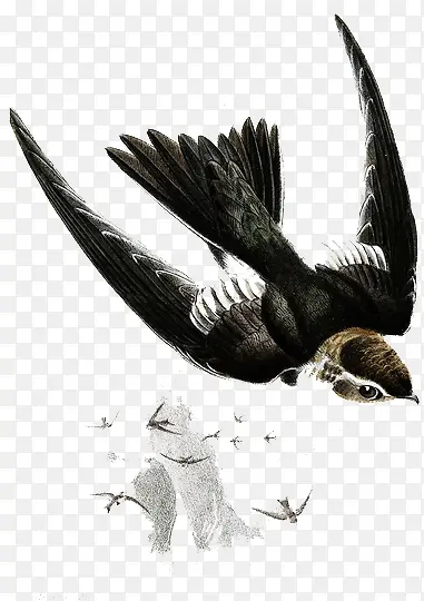 �ֻ����Ӳ廭-������