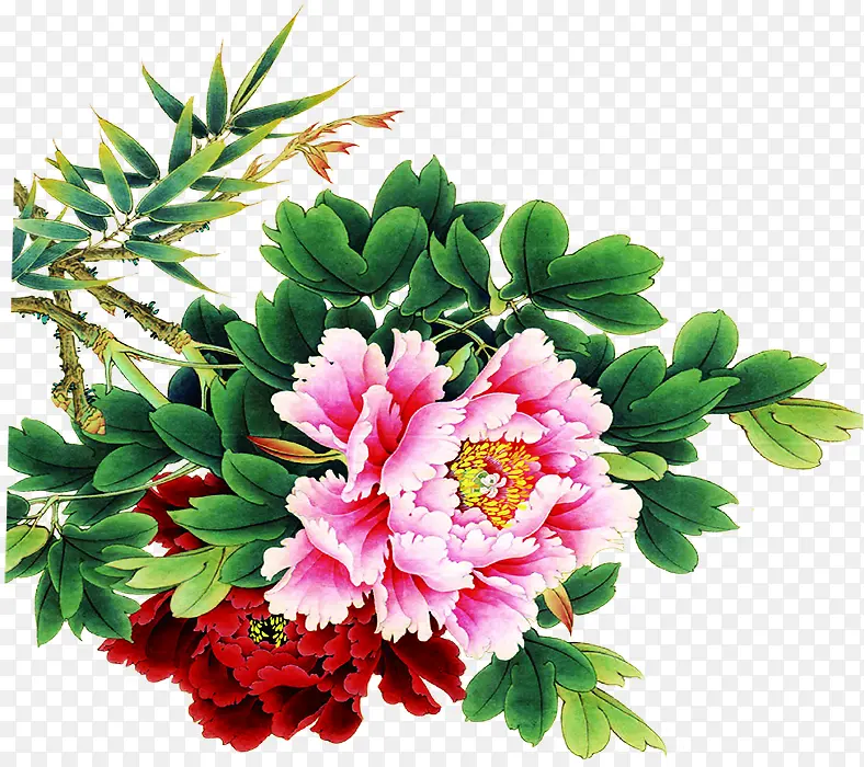 ������ɫˮ�ʻ�ĵ������-������