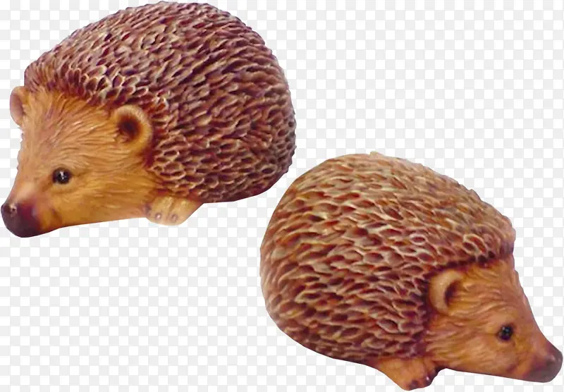 һ�Կɰ����-������