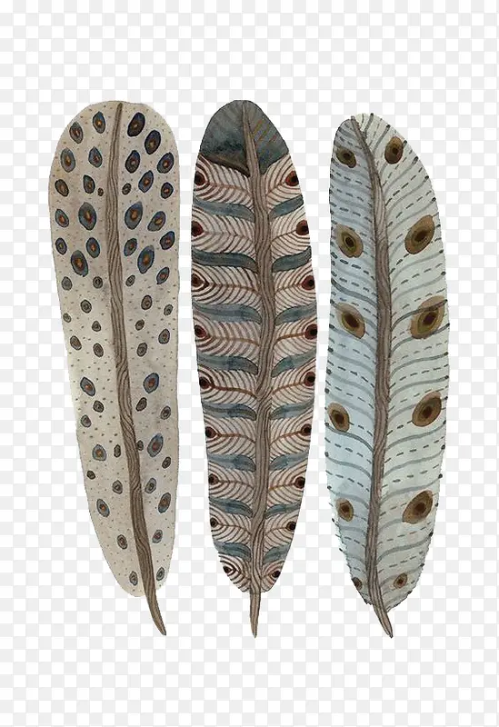 ��ͨ������ë-������