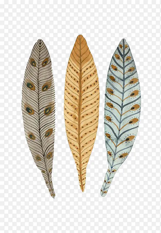 ��ͨ��ȸ��ë-������