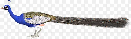 ��ͨ�ֻ��ȸ-������