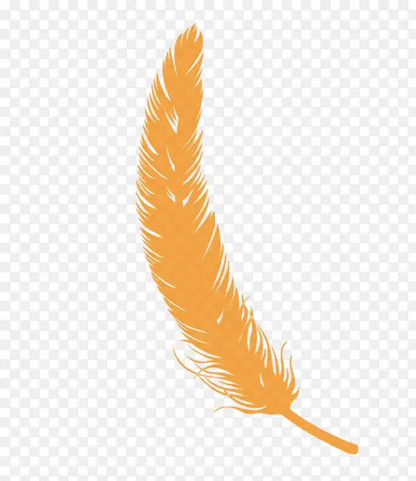 ��ɫ��ë-������